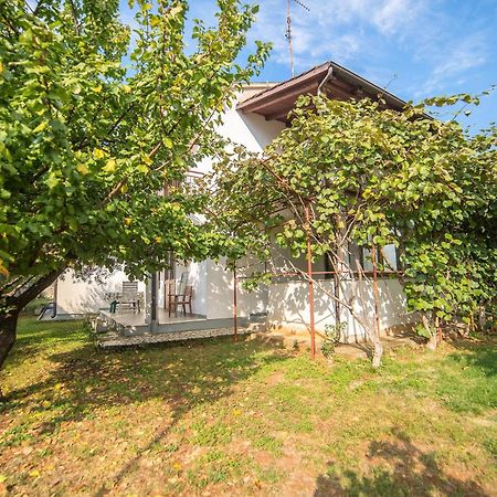Villa Aleksandar Apartments in Poreč Dış mekan fotoğraf