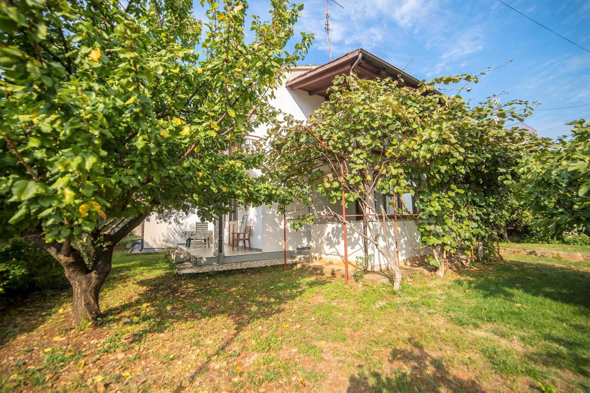 Villa Aleksandar Apartments in Poreč Dış mekan fotoğraf